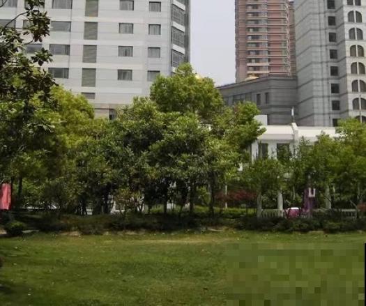 草坪枯死主要是这3点原因,赶紧解决,还能拯救 草坪枯死主要是这3点原因,赶紧解决,还能拯救