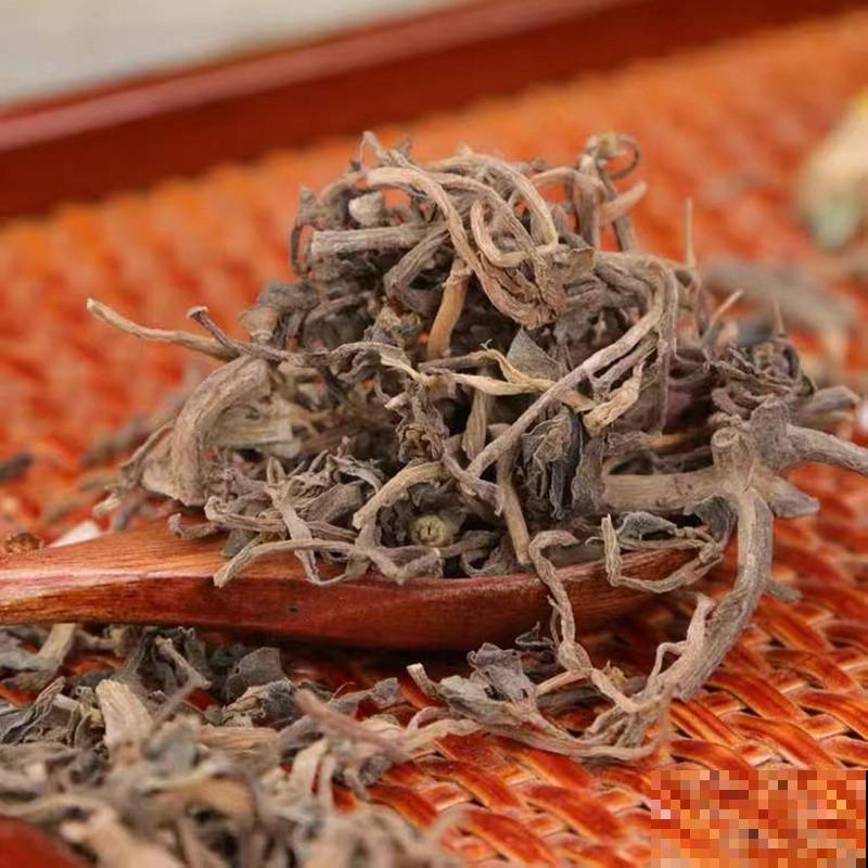 树马齿苋掉叶子，注意这4点，养殖再也不出问题