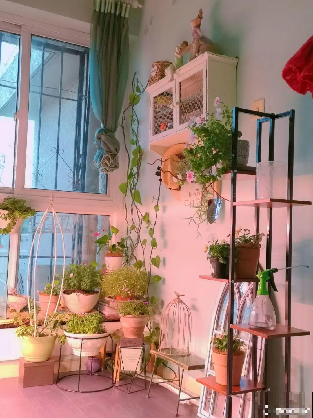 “香花卧室放，花旺人不旺”，老祖宗的良言，大有道理！