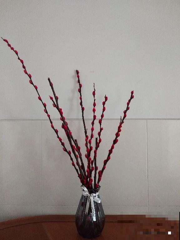 这3种吉祥花,过年必入,放在家里吉祥又如意 这3种吉祥花,过年必入,放在家里吉祥又如意