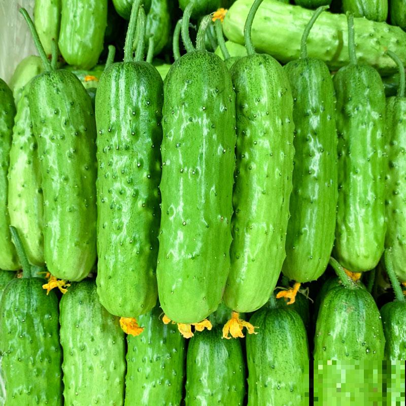 在家要想水培蔬菜，就选这5种，好养长得快