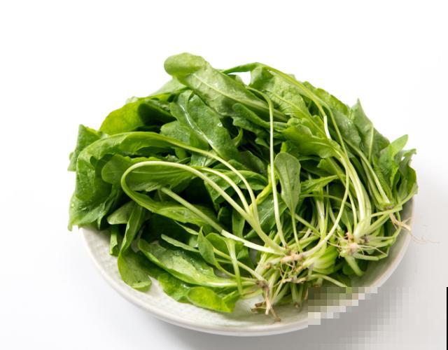 露天荠菜一年三季可种植，学会这4步，养殖变简单