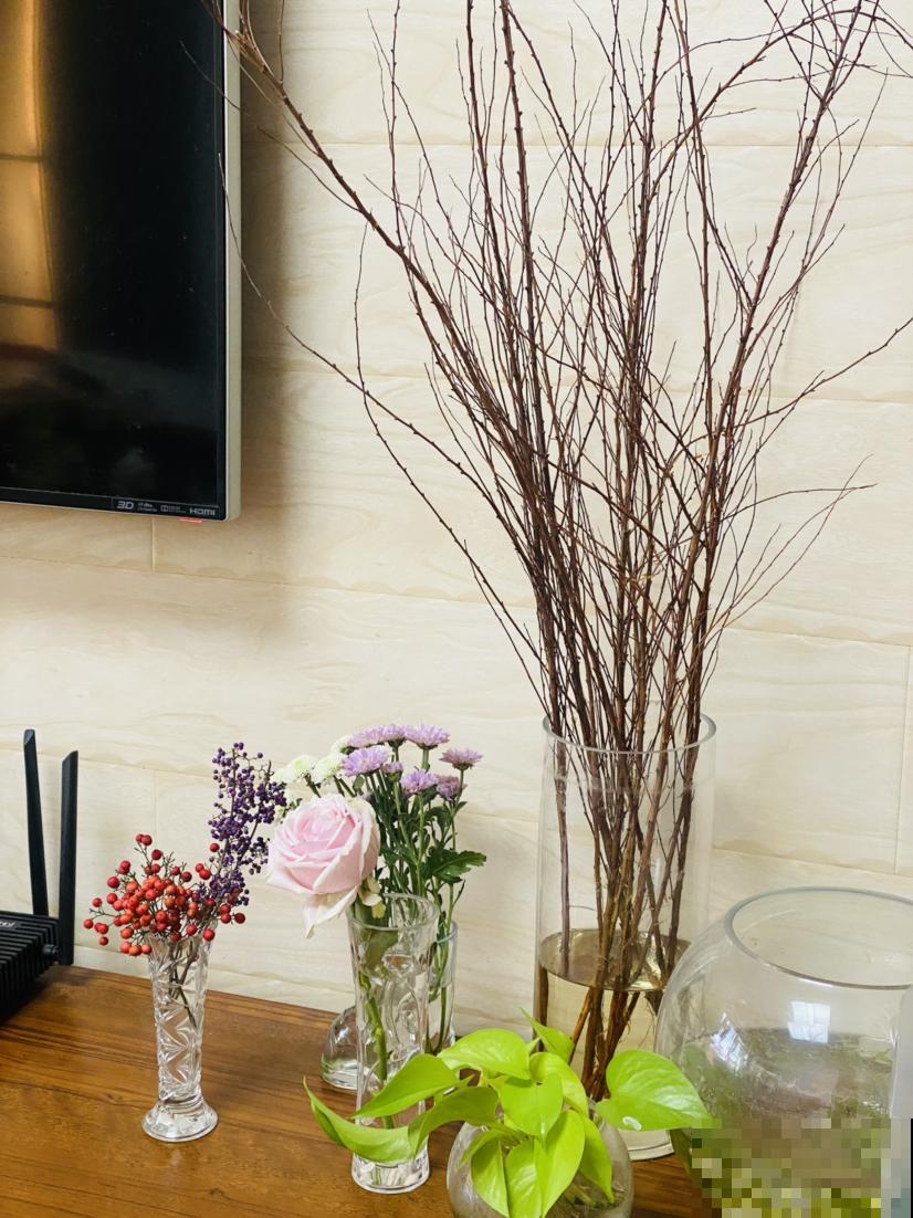 这3种吉祥花,过年必入,放在家里吉祥又如意 这3种吉祥花,过年必入,放在家里吉祥又如意