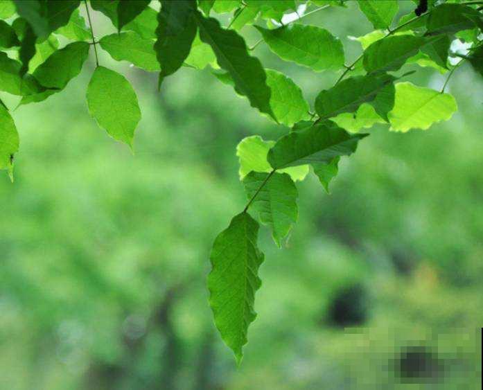 命苦的人爱做的3件事，要想改变就要多积德