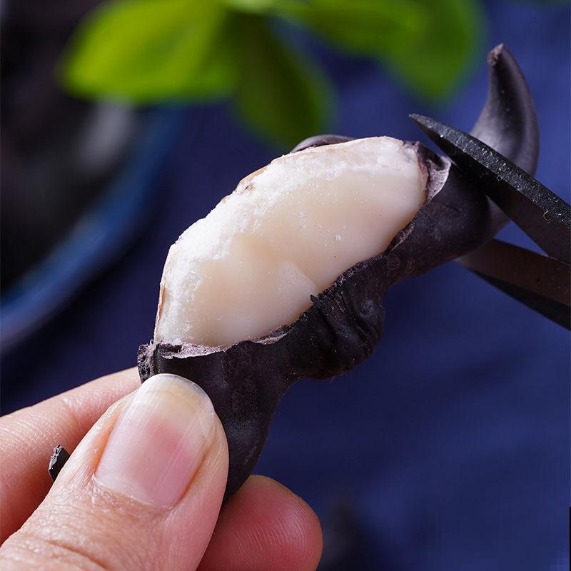 菱角种子留种很简单,学会这3种方法,轻松搞定 菱角种子留种很简单,学会这3种方法,轻松搞定