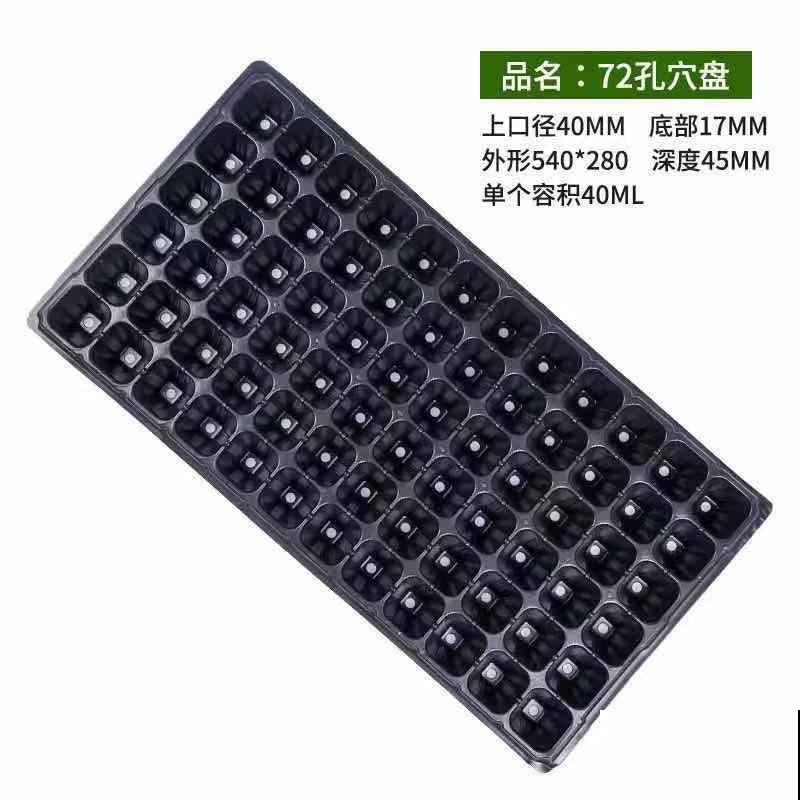 育苗盘培育蔬菜，学会这4点，长势旺盛