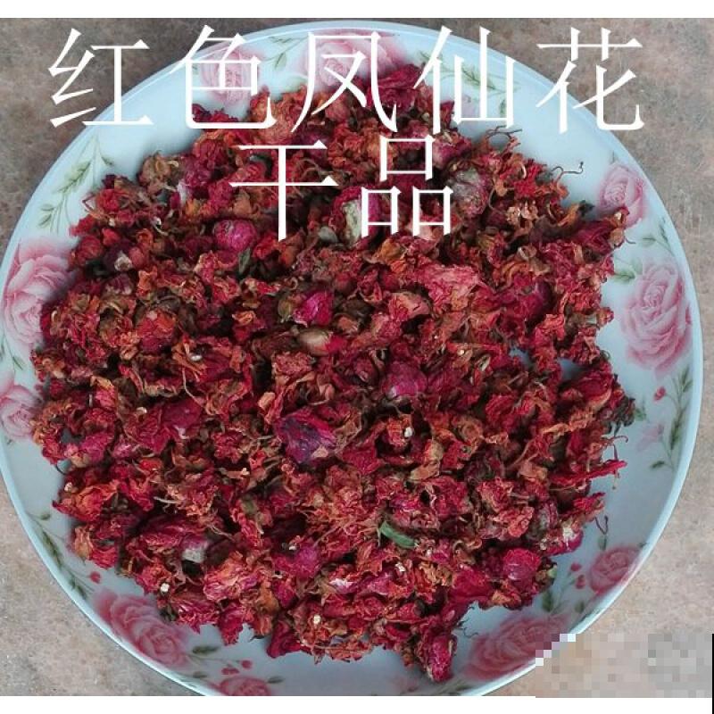 小时候的“玩具”凤仙花，养好也是真简单，注意5要点，年年爆花