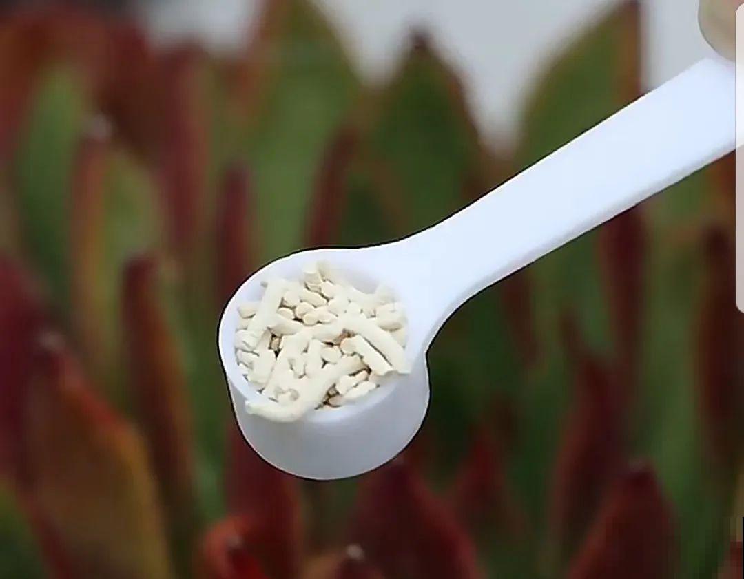 一把白色小豆豆撒土里，啥虫都能杀死，全年不生虫，干干净净