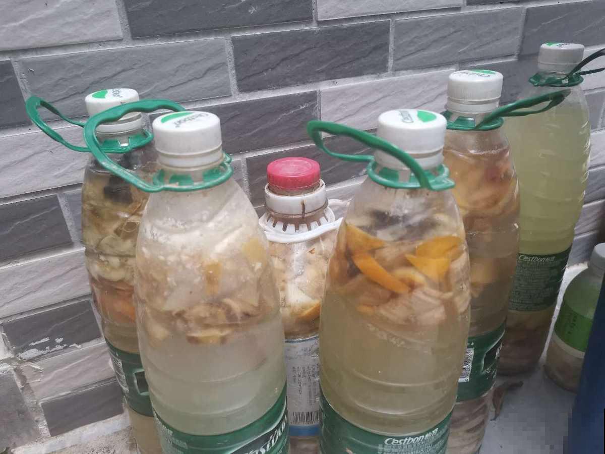 有花最爱喝“酸酸水”,喝一点爆花就更猛 有花最爱喝“酸酸水”,喝一点爆花就更猛