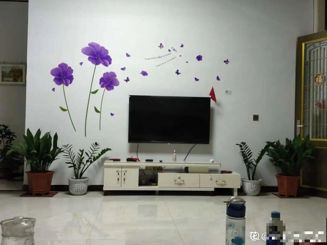 家里的花别乱放，放错地方，容易把花养死！