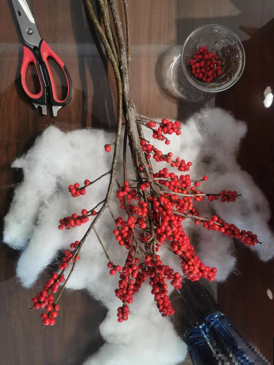 家里养盆北美冬青,红红火火,财源广进 家里养盆北美冬青,红红火火,财源广进