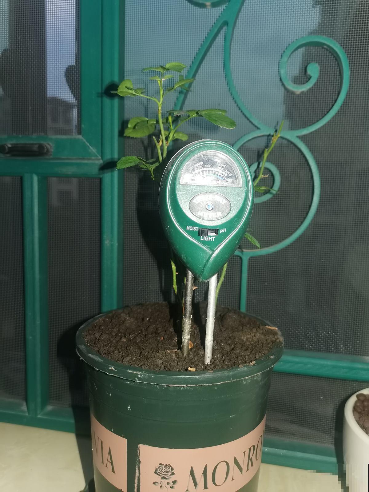 3种“养花神器”,实际上就是养花绊脚石,买了就是浪费钱 3种“养花神器”,实际上就是养花绊脚石,买了就是浪费钱