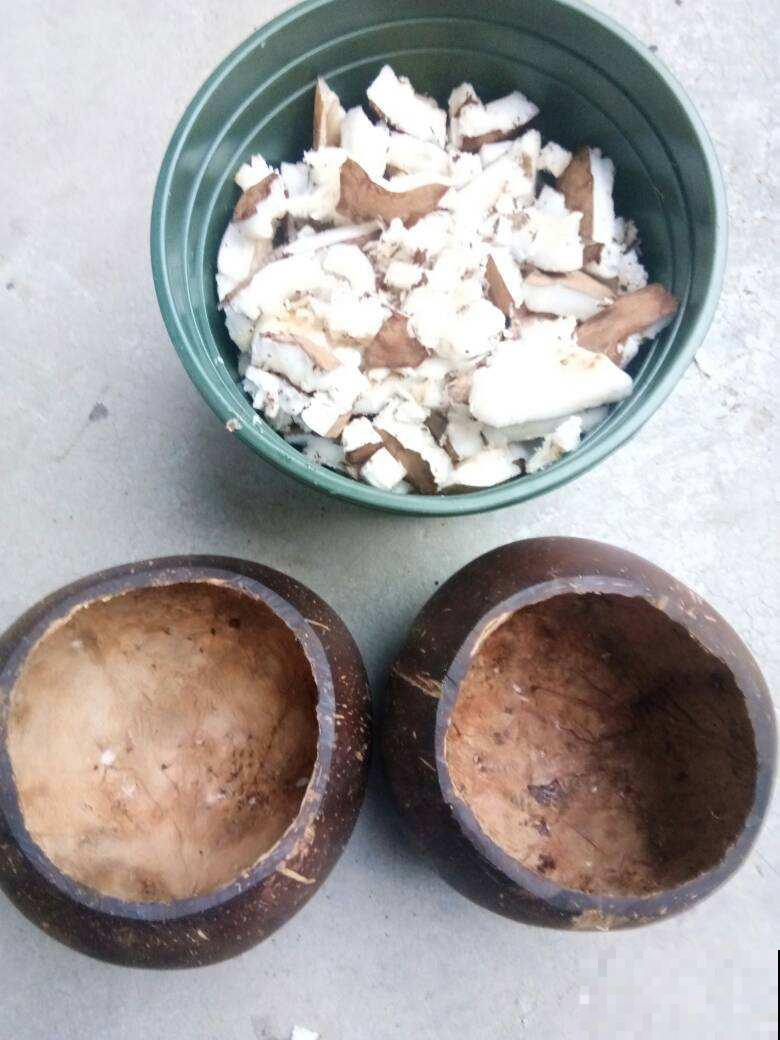 省钱的养花技巧,养花成本减半,你都知道几个? 省钱的养花技巧,养花成本减半,你都知道几个?