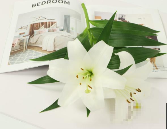 百合花的花蕊，摘掉要注意这3步，可以延长花期