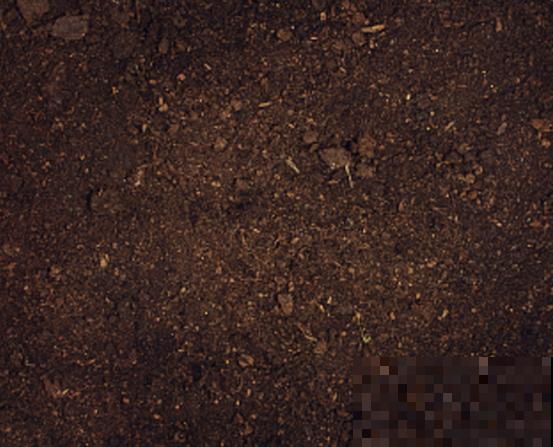 酸性土壤要想改良，可以使用这4个办法，轻松改变