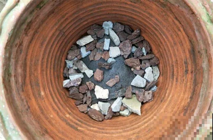 花园三剑客也要换盆,越冷长得越旺,明年呼呼开花 花园三剑客也要换盆,越冷长得越旺,明年呼呼开花