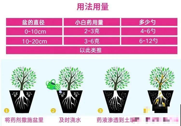 一把白色小豆豆撒土里，啥虫都能杀死，全年不生虫，干干净净
