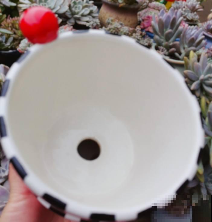 花盆要换盆的3个信号,多亏老花农告诫,难怪长势越来越旺 花盆要换盆的3个信号,多亏老花农告诫,难怪长势越来越旺