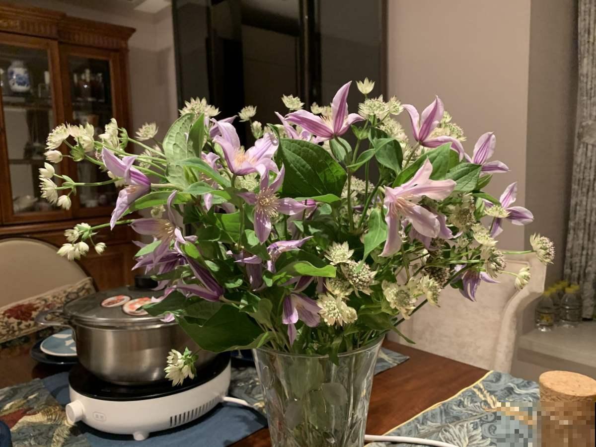 院子里最适合种的4种组合花卉,美观又好打理,花期超长 院子里最适合种的4种组合花卉,美观又好打理,花期超长