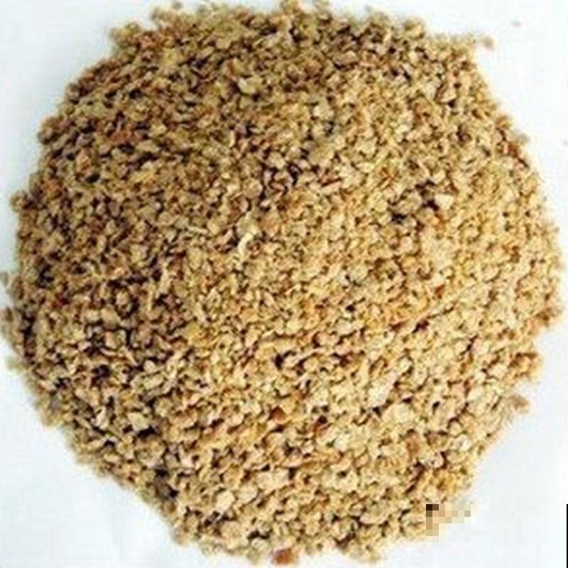 圣诞花的养殖，注意这5点，长势旺盛