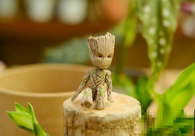 家里养殖巴西木,要想尽快发芽,这4步要知道 家里养殖巴西木,要想尽快发芽,这4步要知道