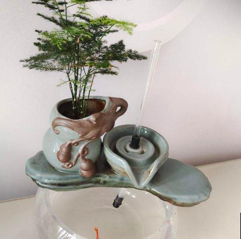 北阳台也能养的绿植,耐阴好养活,一年四季绿油油 北阳台也能养的绿植,耐阴好养活,一年四季绿油油