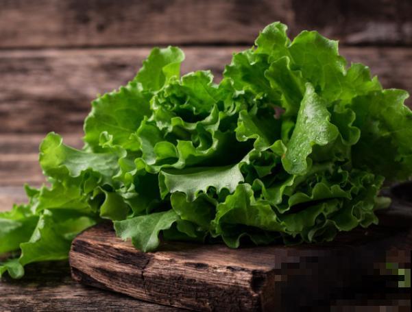 室内种生菜，不会操作不要紧，学会这4步种生菜很简单