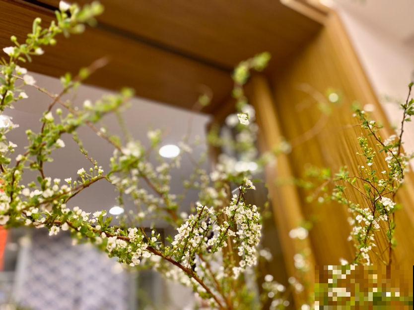 3种花,过完年就可以扔了,很难救回来 3种花,过完年就可以扔了,很难救回来