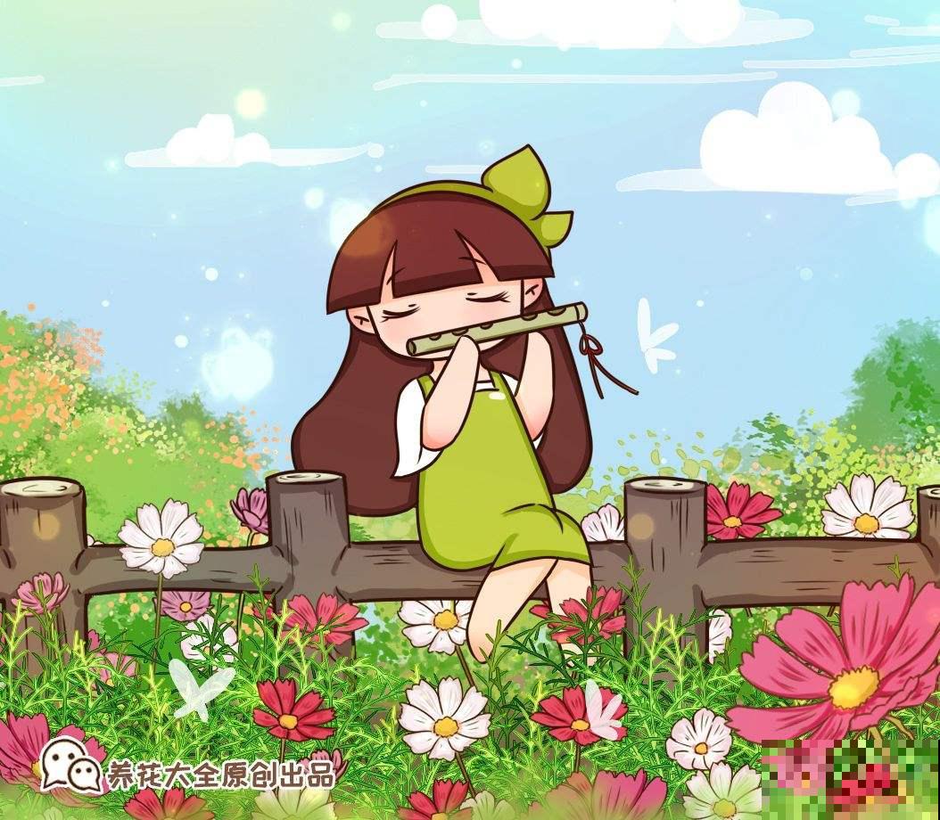 春天种菊花，种类多的数不清，随便浇水就爆盆