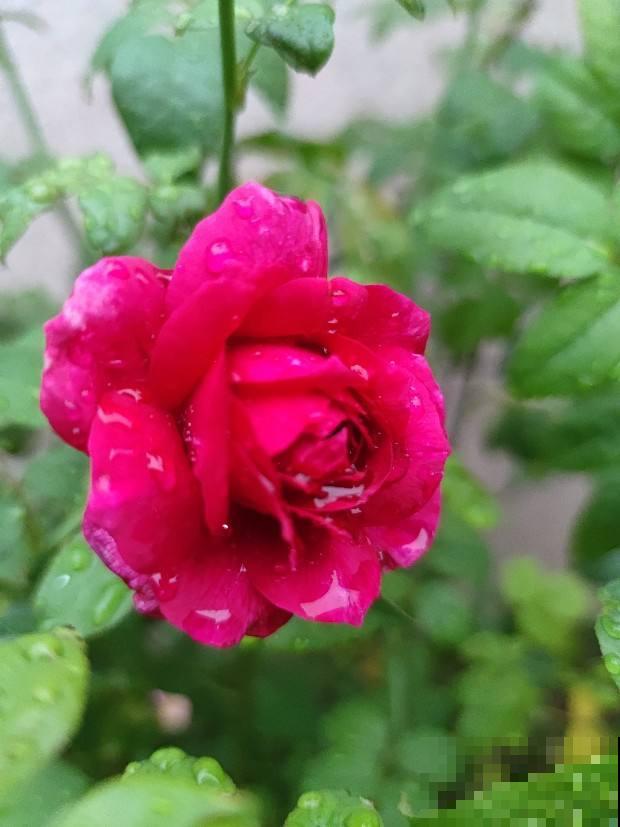 少吃3水果,常做3件事,人人有个好胃 少吃3水果,常做3件事,人人有个好胃