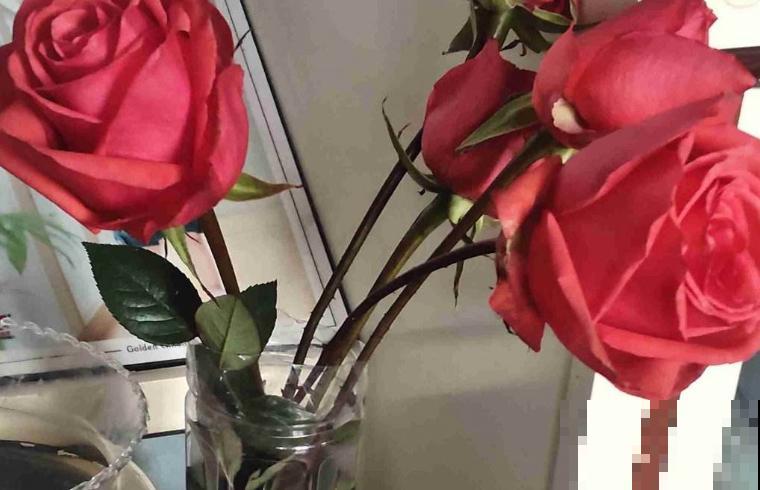 送花不要乱送，这5种花代表爱情，记住别送错