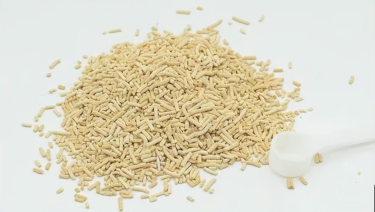 一把白色小豆豆撒土里，啥虫都能杀死，全年不生虫，干干净净