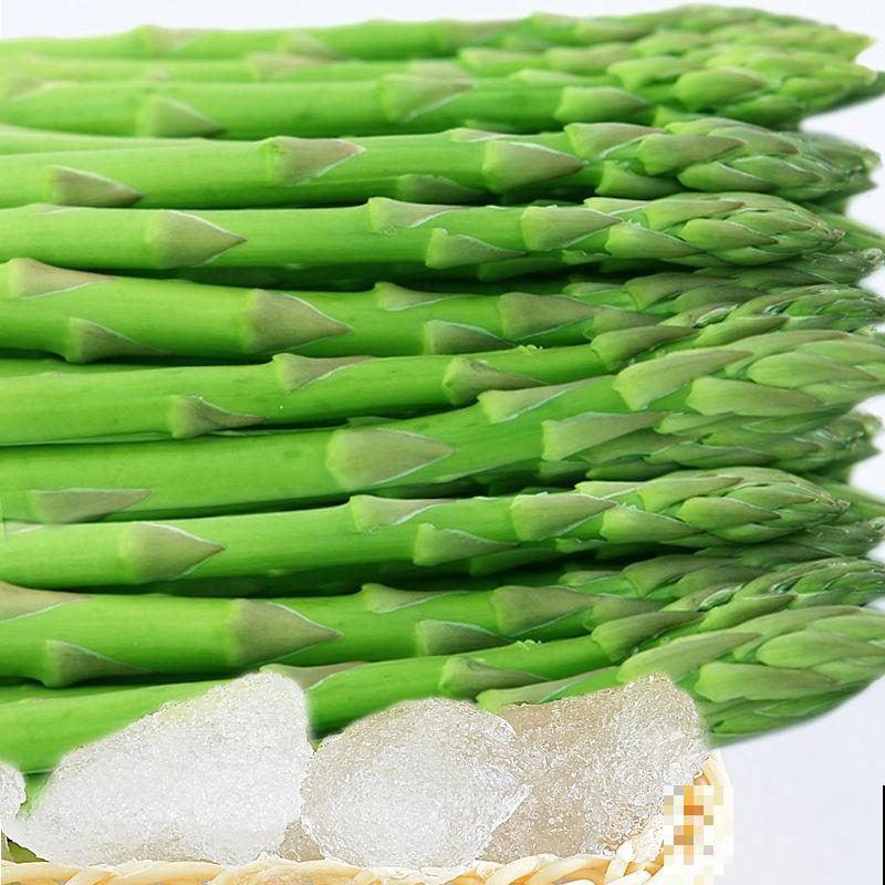 芦笋种植要想长得粗，注意这4点，轻松种出