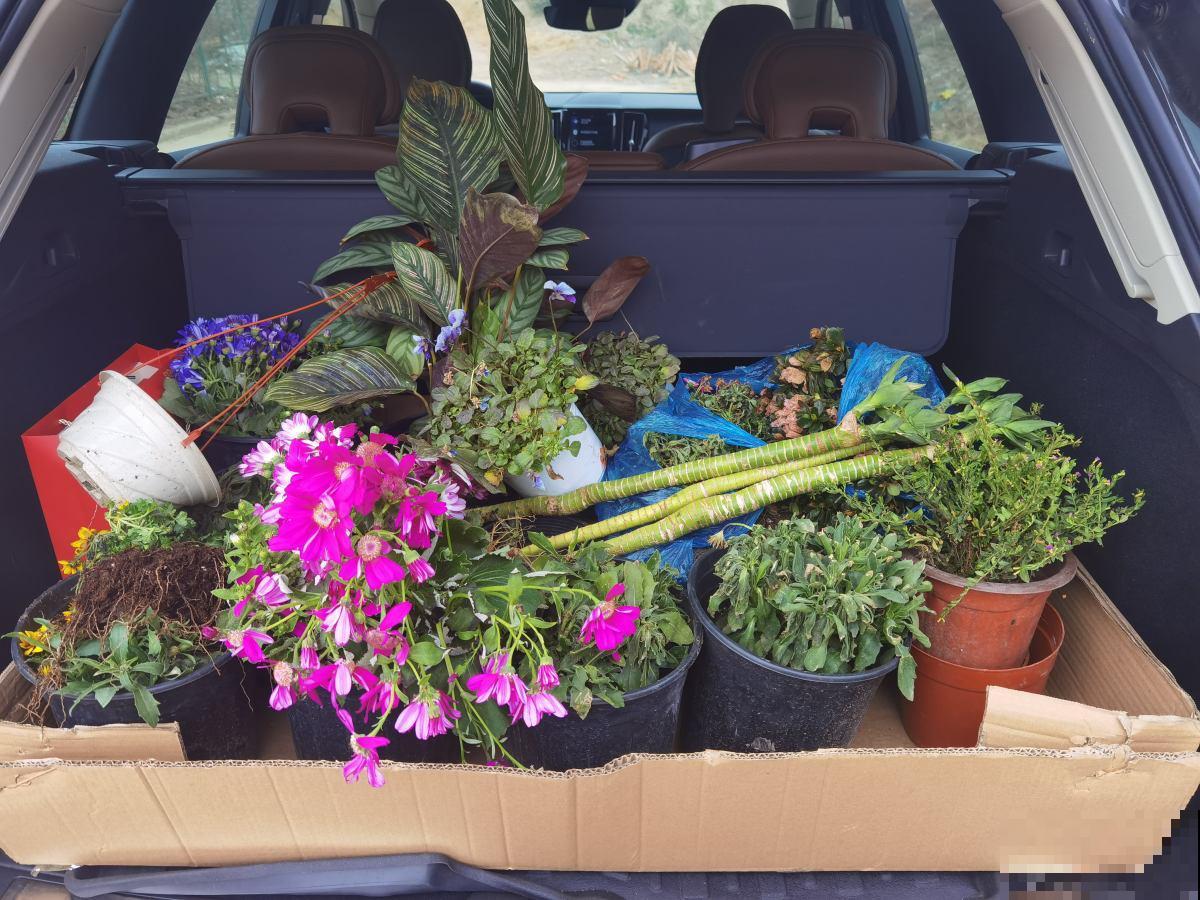 年后去3个地方转一转，能捡不少宝贝，不花钱还都是精品