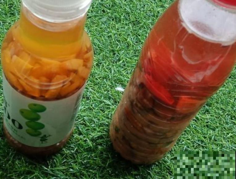 吃剩下的水果皮别丢掉，切碎了沤肥，省下的一笔肥料钱