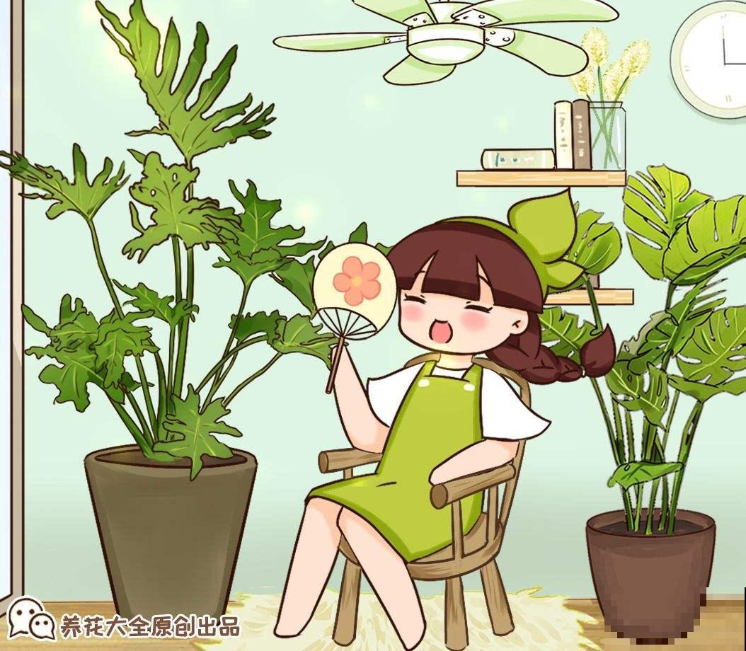 5种花摆在家，顶过高价的装修费，设计感十足