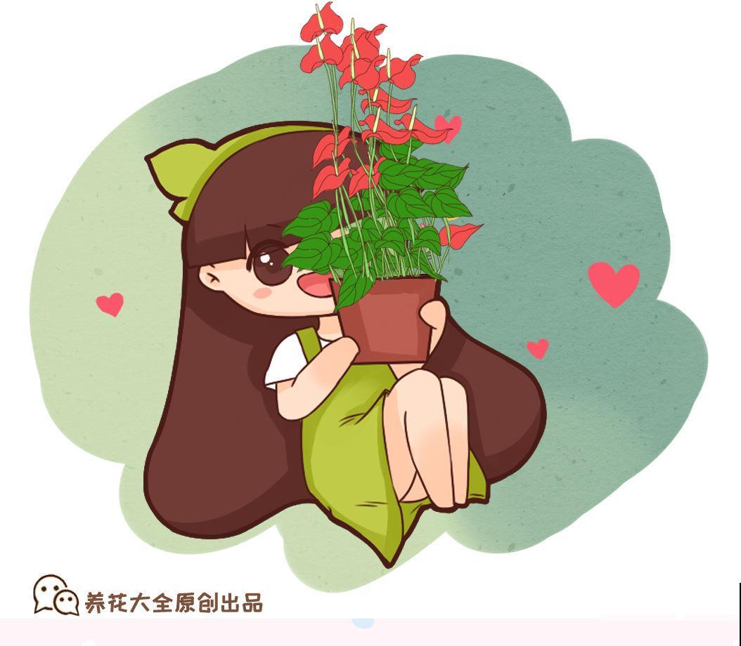 过年倒计时，6种红火花家中必备，喜庆又大气