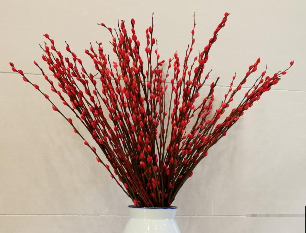 这3种吉祥花，过年必入，放在家里吉祥又如意