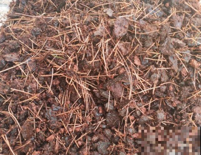 松树皮发酵时间长，记住这2种发酵方法，就能发酵成功