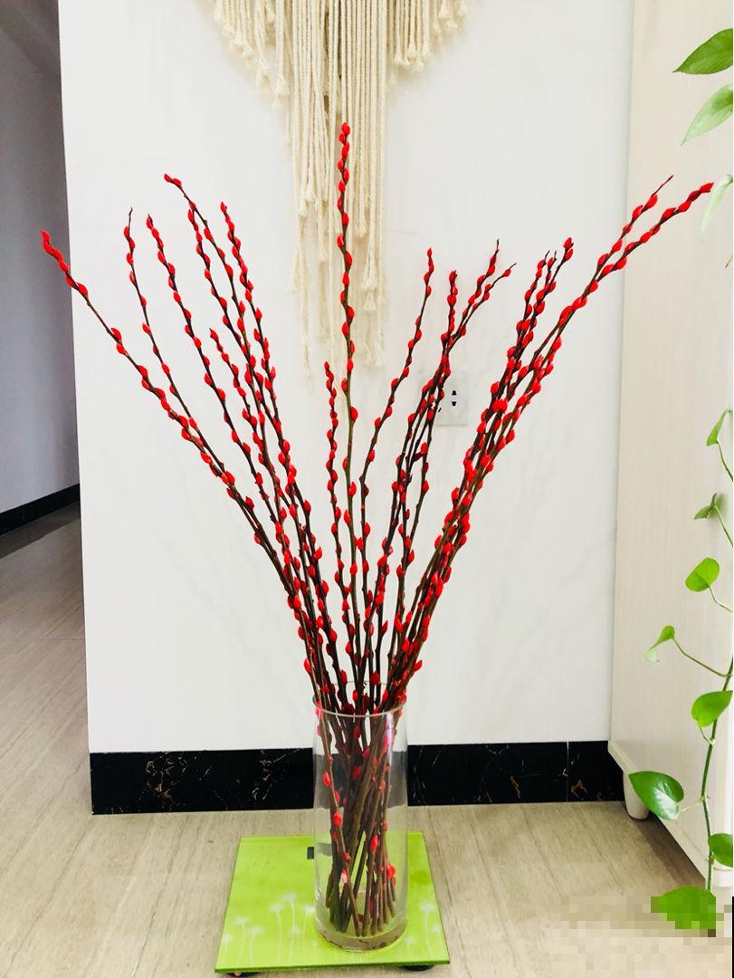 这3种吉祥花,过年必入,放在家里吉祥又如意 这3种吉祥花,过年必入,放在家里吉祥又如意