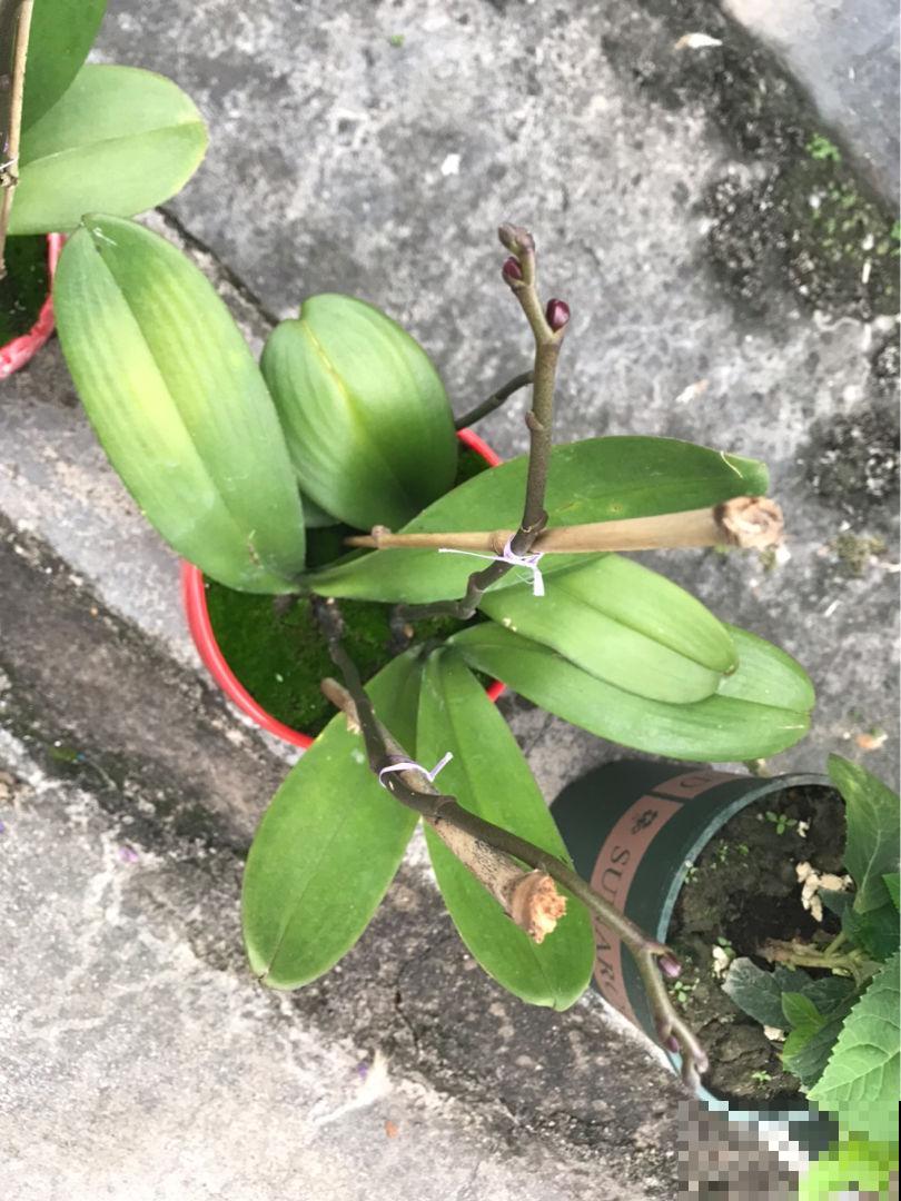 年后去3个地方转一转，能捡不少宝贝，不花钱还都是精品