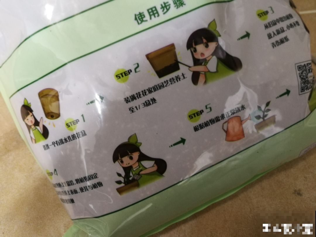 超详细的植物换土步骤,保姆级教程,实用的很 超详细的植物换土步骤,保姆级教程,实用的很