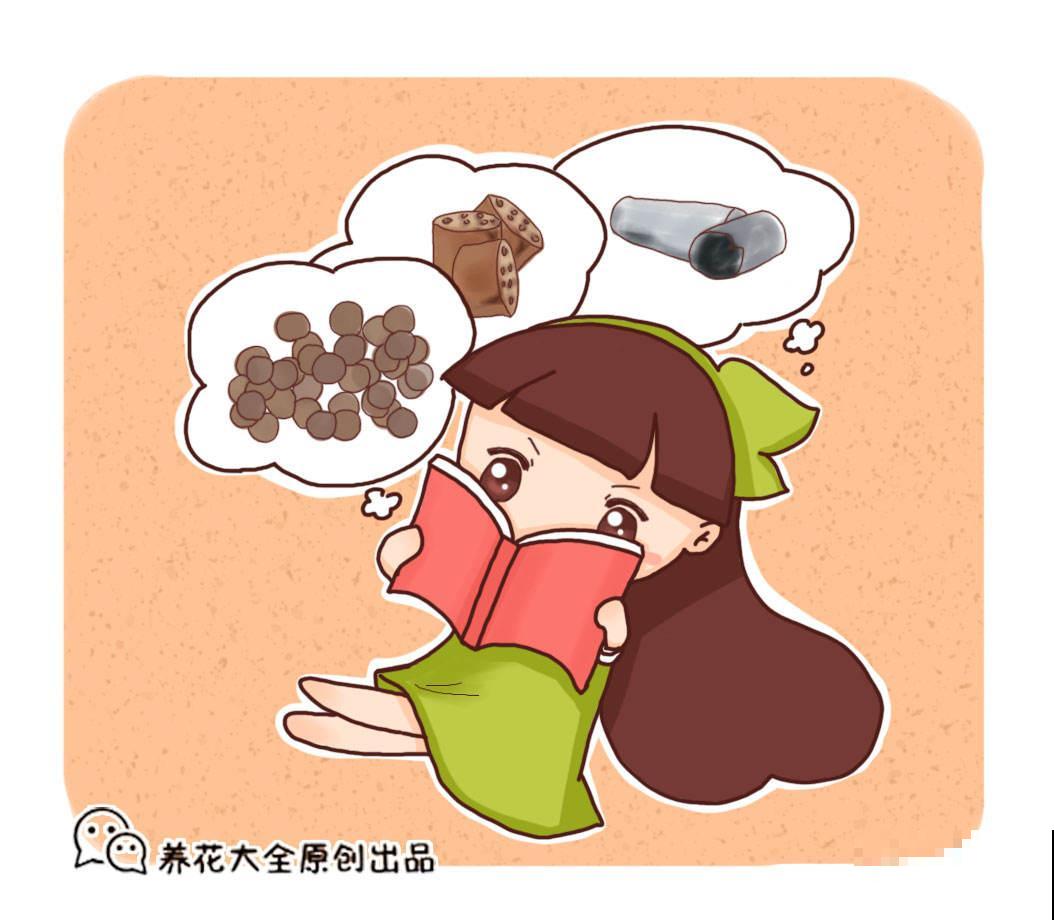 省钱的养花技巧,养花成本减半,你都知道几个? 省钱的养花技巧,养花成本减半,你都知道几个?