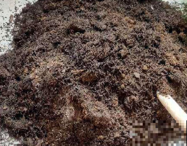 枯树叶埋土里要想腐熟,至少需要3个月,学会这3点在家就能腐熟 枯树叶埋土里要想腐熟,至少需要3个月,学会这3点在家就能腐熟