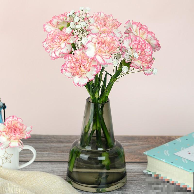 家里养盆康乃馨,学会这5步扦插,明年一盆变多盆 家里养盆康乃馨,学会这5步扦插,明年一盆变多盆