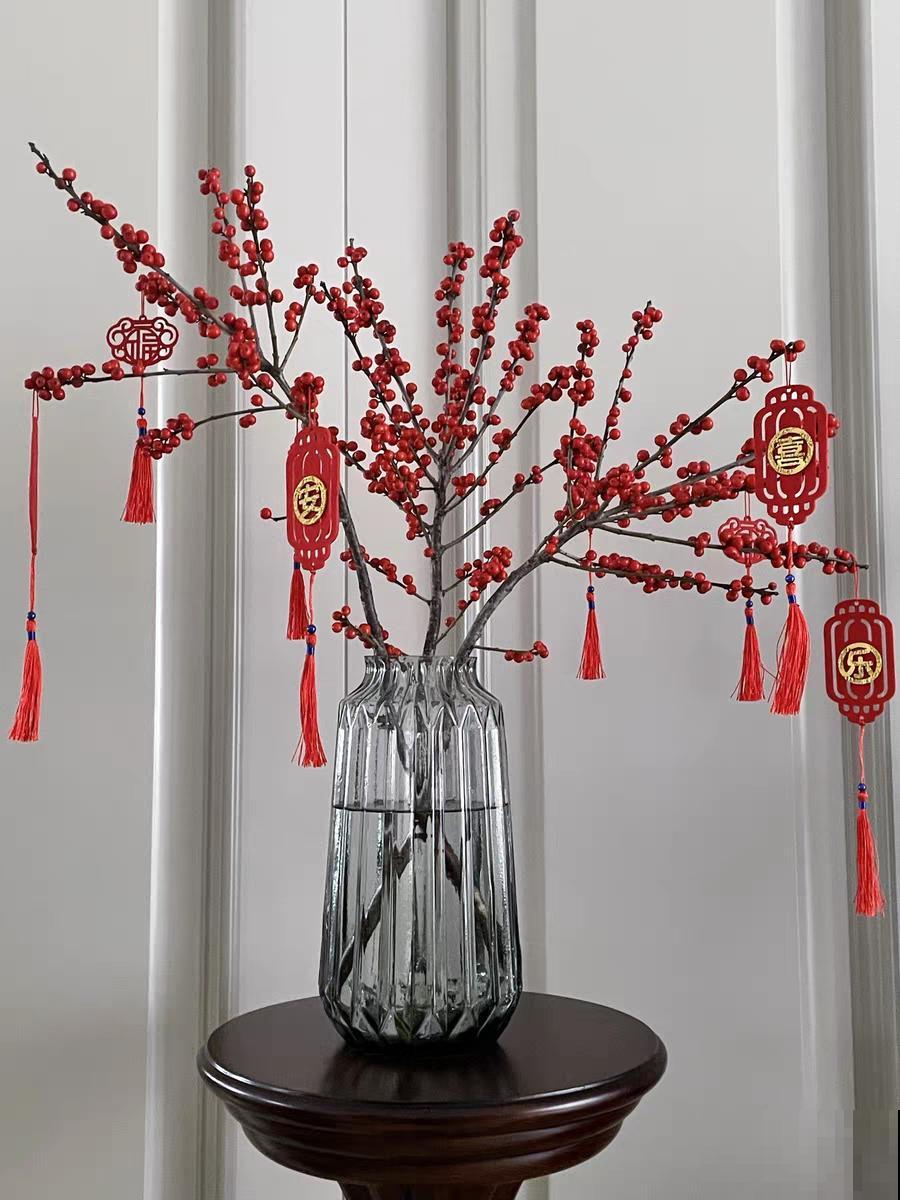 家里养盆北美冬青,红红火火,财源广进 家里养盆北美冬青,红红火火,财源广进