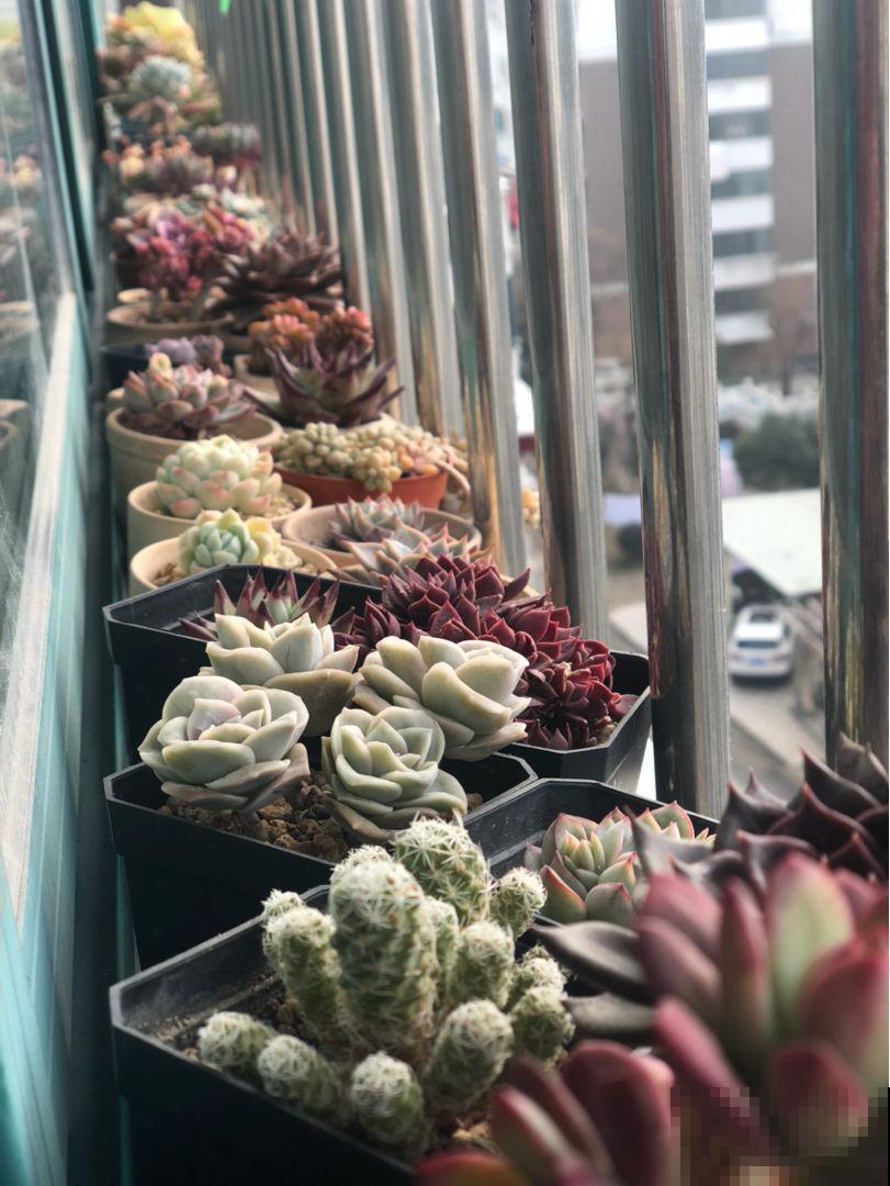 要想身体健康，5个禁忌你别做，春天一定要注意