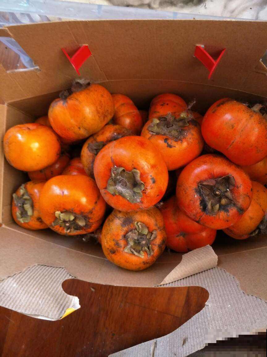 少吃3水果,常做3件事,人人有个好胃 少吃3水果,常做3件事,人人有个好胃