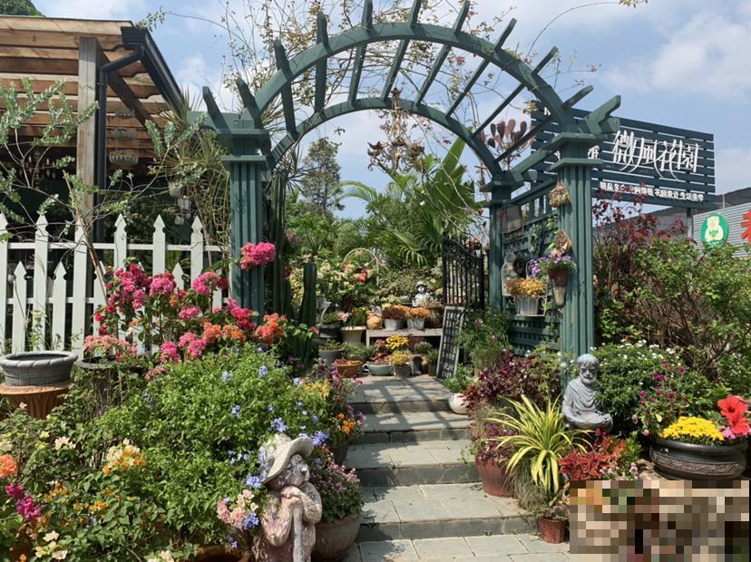 经常逛花市,4个省钱经验分享给大家,可要记好了 经常逛花市,4个省钱经验分享给大家,可要记好了