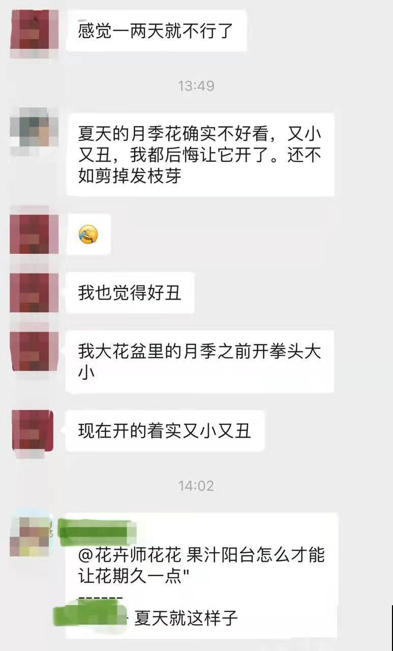 想进养花群,赶紧来看看,免费解答养花问题哦~ 想进养花群,赶紧来看看,免费解答养花问题哦~